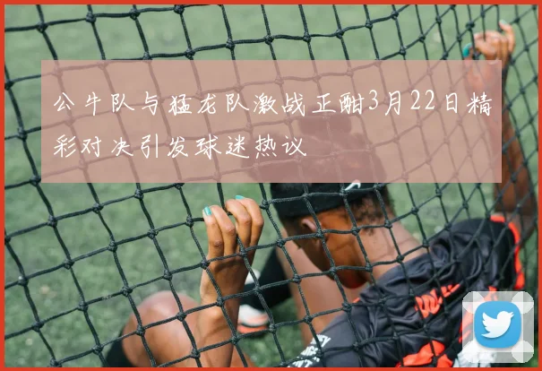 公牛队与猛龙队激战正酣3月22日精彩对决引发球迷热议