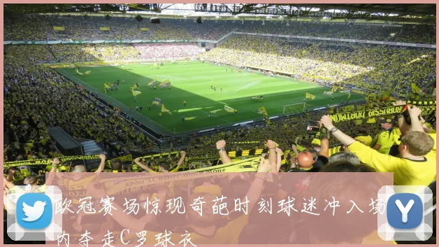 欧冠赛场惊现奇葩时刻球迷冲入场内夺走C罗球衣