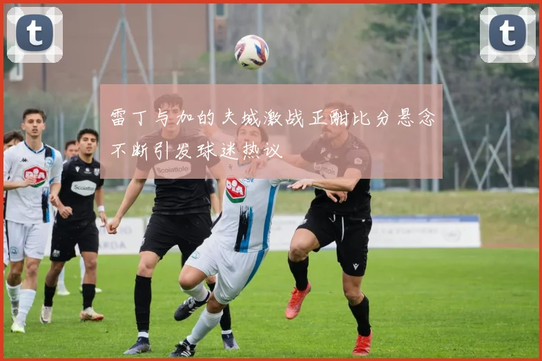 雷丁与加的夫城激战正酣比分悬念不断引发球迷热议