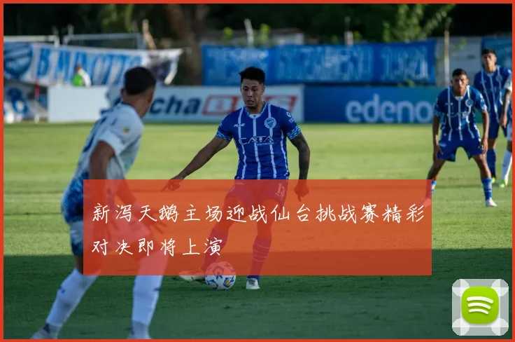 新泻天鹅主场迎战仙台挑战赛精彩对决即将上演